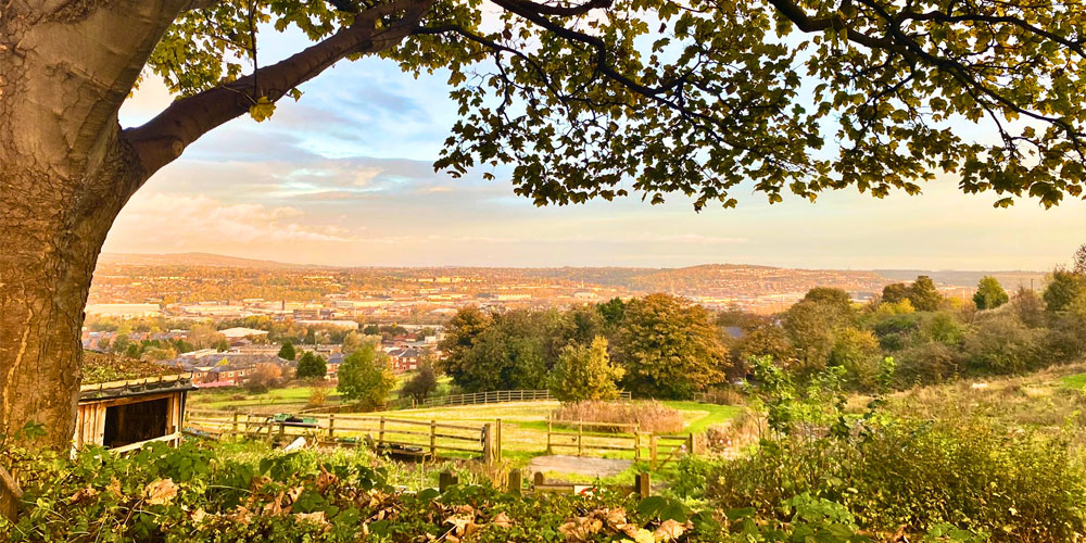 green estate