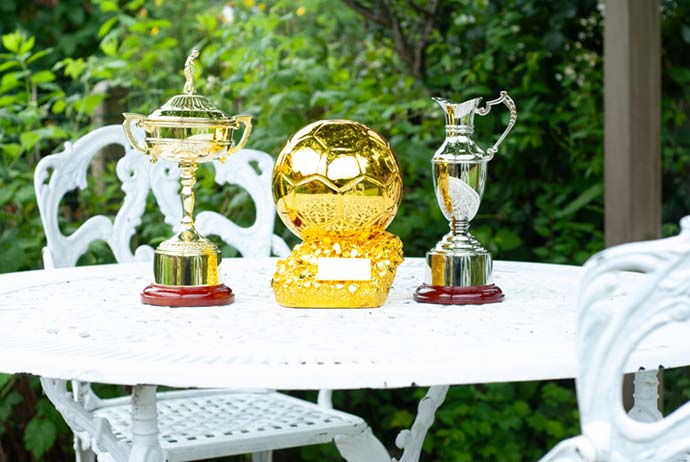 3 Trophies on a table outdoors